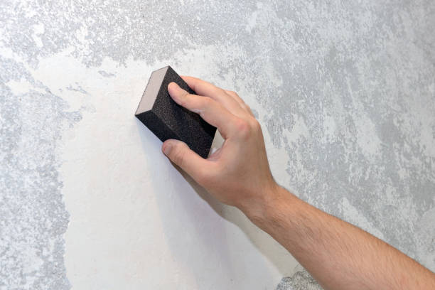 Best Biohazard Mold Removal  in North Rock Springs, WY