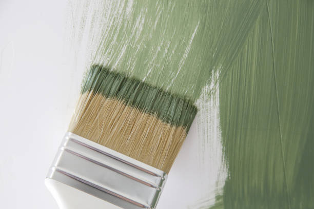 Reliable North Rock Springs, WY Mold Removal Solutions