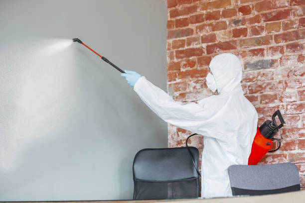 Best Industrial Mold Remediation  in North Rock Springs, WY