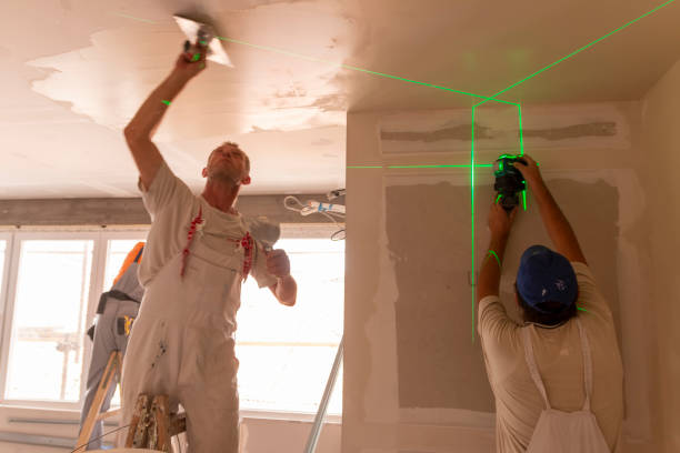Best Real Estate Mold Inspection  in North Rock Springs, WY