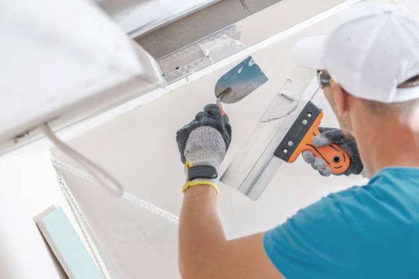 Best Comprehensive Air Testing for Mold Contaminants  in North Rock Springs, WY